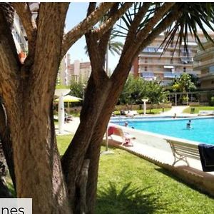 Apartamento de 2 Dormitorios